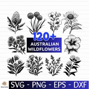 May include: A collection of black and white illustrations of Australian wildflowers. The image features diverse floral designs, with the text "120+ AUSTRALIAN WILDFLOWERS" in a blue gradient box. Below the flowers are the file types: SVG, PNG, EPS, and DXF.