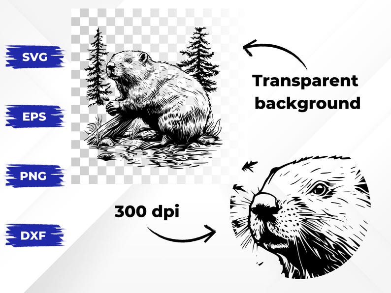 160+ Beavers SVG Bundle | Cute Beaver Svg Png Eps Dxf | Cricut and ...