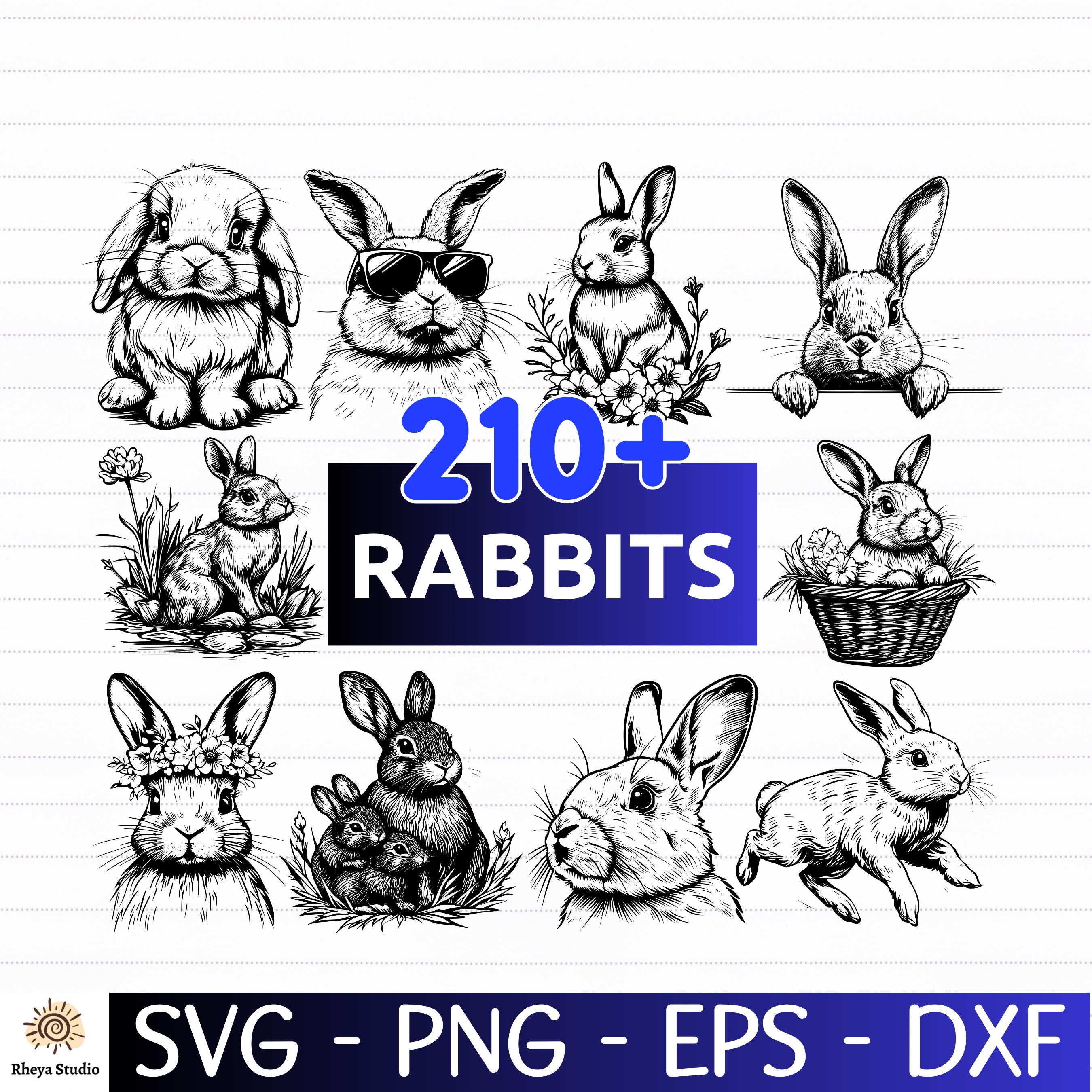 210+ Rabbits SVG Bundle | Bunny Silhouettes, Cute Pet Clipart ...