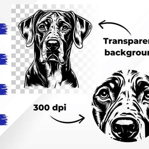 Puede incluir: Ilustraci&oacute;n en blanco y negro de la cabeza de un perro Bloodhound. El perro tiene una expresi&oacute;n seria con las orejas levantadas. La imagen tiene un fondo transparente.
