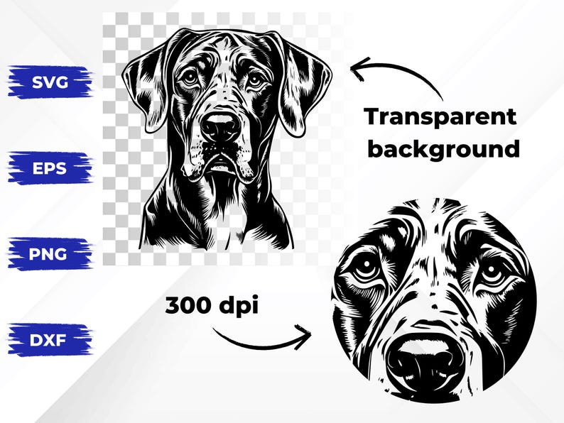 Puede incluir: Ilustraci&oacute;n en blanco y negro de la cabeza de un perro Bloodhound. El perro tiene una expresi&oacute;n seria con las orejas levantadas. La imagen tiene un fondo transparente.