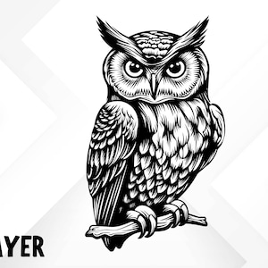 May include: Black and white line art illustration of an owl with its wings folded. The owl is perched on a branch with its talons gripping the branch. The owl has a serious expression on its face.