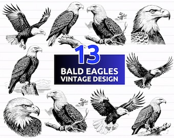 13 Adler SVG Bundle, Weißkopfseeadler SVG Bundle Vintage Design, Adlerkopf svg - digitaler Download svg, dxf, png, pdf, svg-Dateien für Cricut