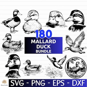 180 Mallard Duck SVG Bundle, Flying Ducks Designs, Bird SVG, Duck Silhouette - digital download svg, png, eps, dxf, svg files for cricut