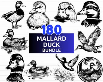 Pacote com 180 imagens SVG de patos-reais, desenhos de patos voando, SVG de pássaros, silhueta de pato - download digital de arquivos SVG, PNG, EPS, DXF e SVG para Cricut.