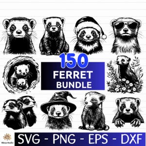 Puede incluir: Ilustraciones en blanco y negro de hurones en varias poses, incluyendo uno con gafas de sol y otro con gorro de Papá Noel. La imagen incluye el texto "150 FERRET BUNDLE" y opciones de archivos SVG, PNG, EPS y DXF.