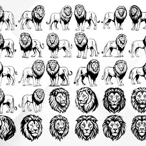 May include: A collection of 25 black and white lion illustrations. The lions are depicted in various poses, including standing, walking, and roaring. Some of the lions have their manes fully visible, while others have their manes partially visible. The illustrations are perfect for use in a variety of creative projects, such as t-shirt designs, website graphics, and social media posts.