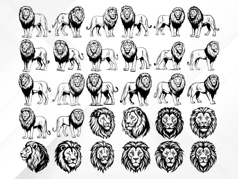 May include: A collection of 25 black and white lion illustrations. The lions are depicted in various poses, including standing, walking, and roaring. Some of the lions have their manes fully visible, while others have their manes partially visible. The illustrations are perfect for use in a variety of creative projects, such as t-shirt designs, website graphics, and social media posts.