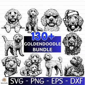 Plus de 130 fichiers SVG chien Golden Doodle - cliparts Golden Doodle, fichiers de coupe pour Cricut et Silhouette - comprend les formats png, dxf, eps, svg