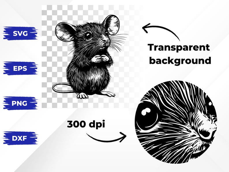 269 Baby Animals SVG Bundle | Cute Animal Svg Png Eps Dxf | Cricut and ...