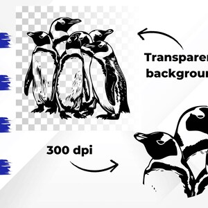 May include: Black and white line art illustration of a group of penguins huddled together. The image is on a transparent background.