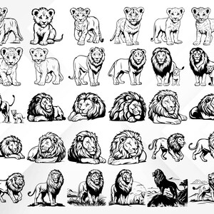May include: A collection of black and white line art illustrations of lions in various poses, including standing, sitting, lying down, and roaring. The lions are depicted in a realistic style with detailed features.