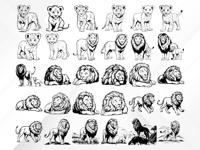 May include: A collection of black and white line art illustrations of lions in various poses, including standing, sitting, lying down, and roaring. The lions are depicted in a realistic style with detailed features.