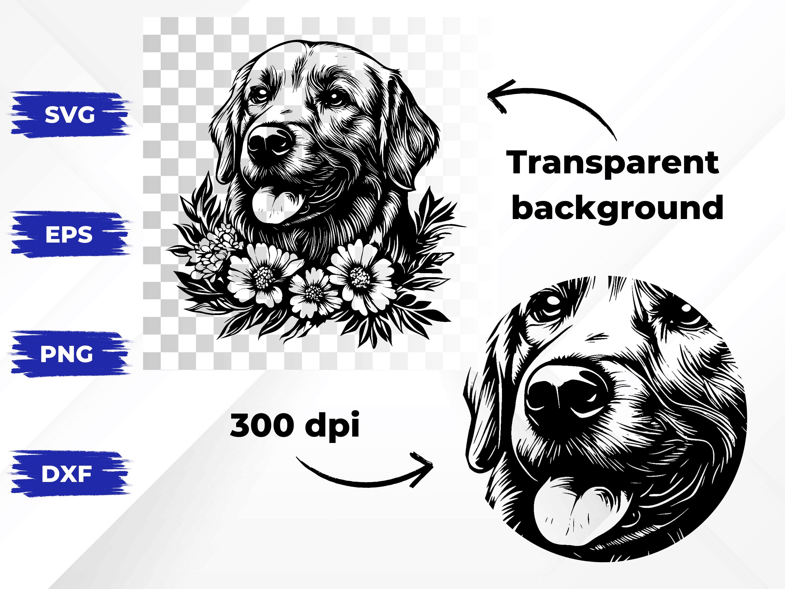 207 Labrador Retriever SVG Bundle | Hunting Dog Silhouettes & Clipart ...