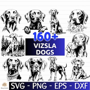160+ Vizsla Dog SVG Bundle, Dog Breed, Dog Vector, Hunting Dog svg - digital download svg, png, dxf, eps, svg files for Cricut