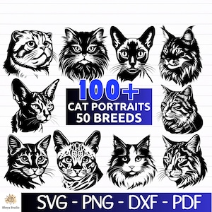 100 Cat Portraits SVG Bundle, Cat SVG Bundle, Cat Breeds SVG  - digital download svg, dxf, png, pdf, svg files for cricut