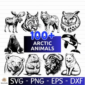 Puede incluir: Gráfico digital con ilustraciones en blanco y negro de animales árticos, incluyendo un alce, lince, lobo, búho, morsa, orca, oso, castor, buey almizclero y zorro ártico. El texto "100+ ARCTIC ANIMALS" está en azul. La parte inferior de la imagen muestra "SVG - PNG - EPS - DXF".