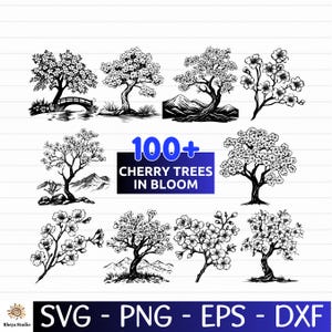 Puede incluir: Ilustraciones en blanco y negro de cerezos en flor en varios estilos. La imagen incluye el texto "100+ Cherry Trees in Bloom" y opciones de tipo de archivo: SVG, PNG, EPS y DXF.