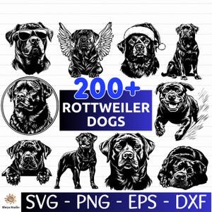 200+ Rottweiler Dog SVG Bundle, Dog Breed Vector, Dog Vector, Dog SVG - digital download svg, png, dxf, eps, svg files for Cricut