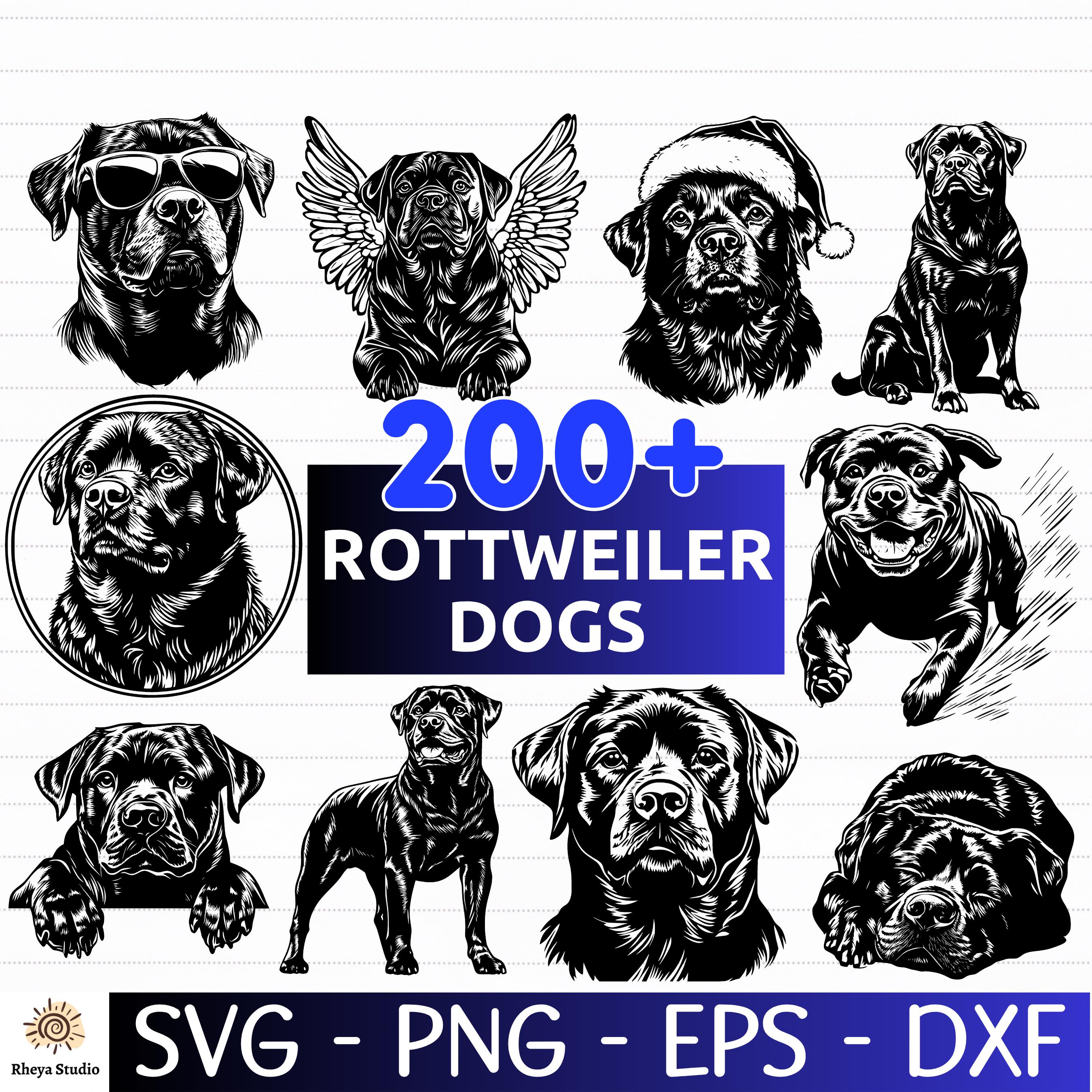 Free Rottweiler Svg Files 200+ Rottweiler Dog SVG Bundle, Dog Breed Vector, Dog Vector, Dog SVG ...