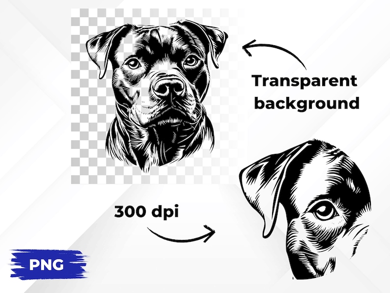 May include: Black and white illustration of a pit bull dog's head. The image has a transparent background and is 300 dpi.