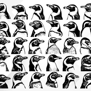 May include: A collection of 30 black and white line drawings of penguins in various poses, with their heads turned in different directions.