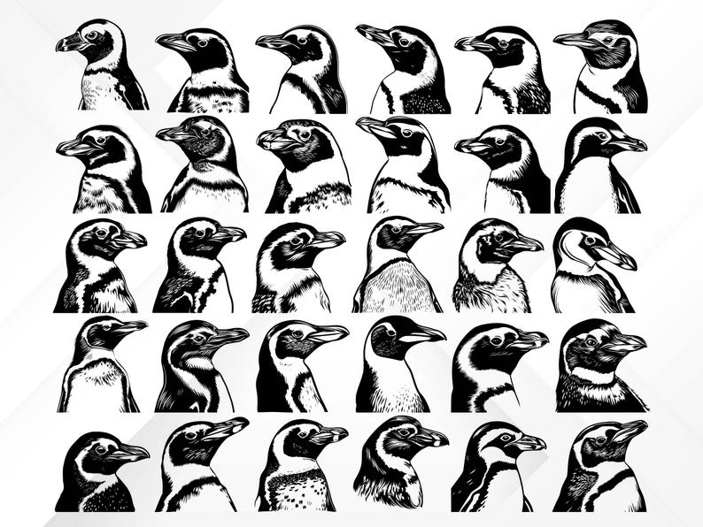 May include: A collection of 30 black and white line drawings of penguins in various poses, with their heads turned in different directions.