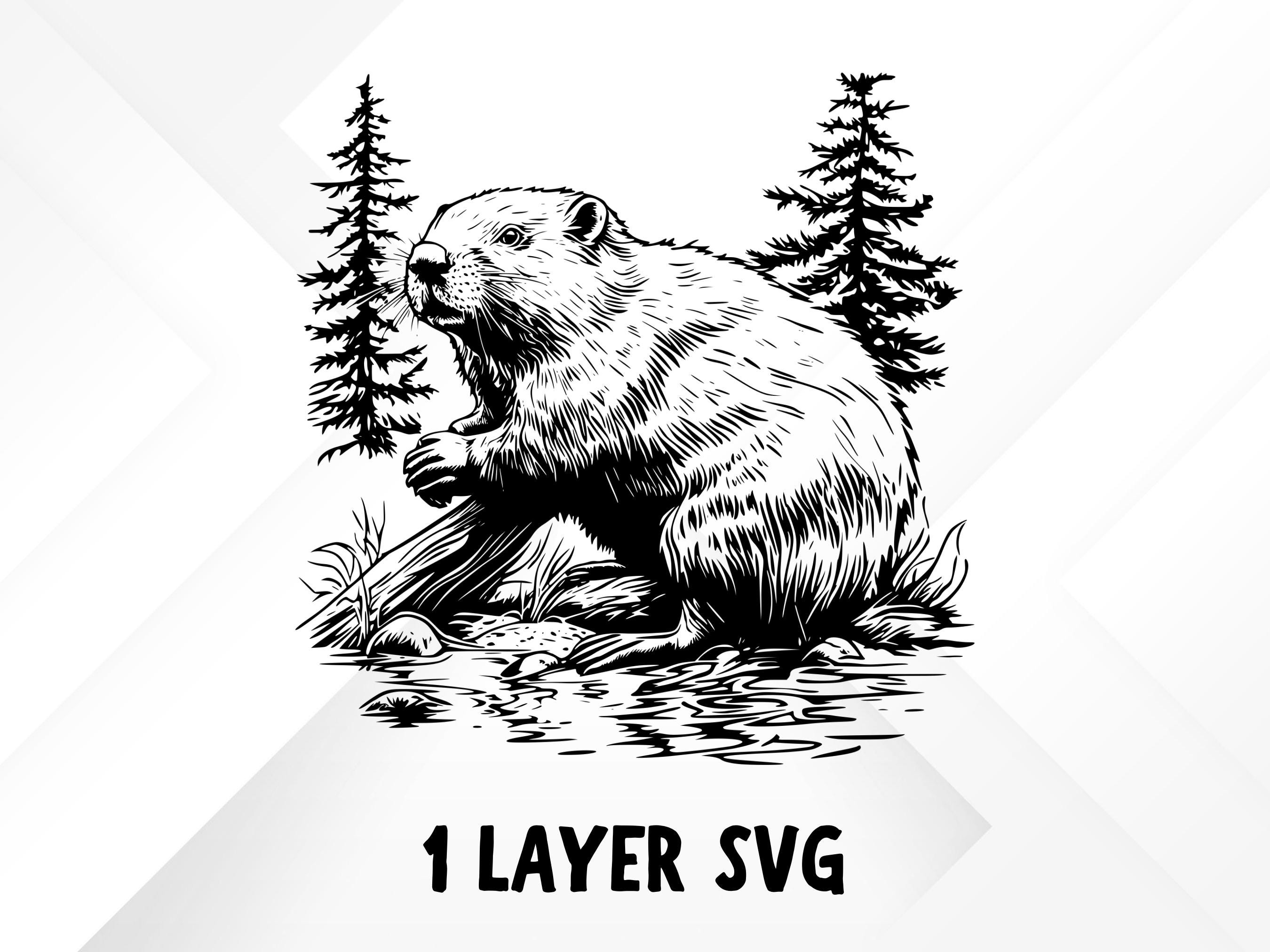160+ Beavers SVG Bundle | Cute Beaver Svg Png Eps Dxf | Cricut and ...