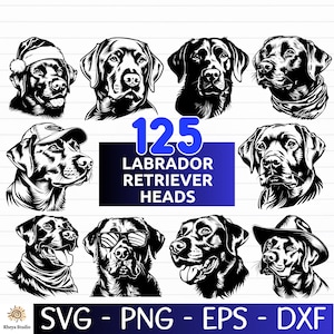 125 Labrador Retriever SVG Bundle, Labrador svg, Dog svg, Dog Clipart, Dog PNG - Digital Download svg, png, eps, dxf, svg Files for Cricut