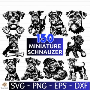 Puede incluir: Un conjunto de 150 ilustraciones vectoriales en blanco y negro de schnauzers miniatura en varias poses. El texto "150 Miniature Schnauzer" se muestra en una fuente grande. El texto "SVG - PNG - EPS - DXF" se muestra en la parte inferior de la imagen.