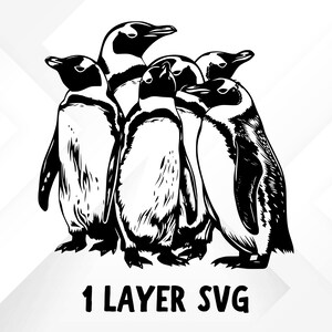 May include: Black and white line art illustration of five penguins huddled together. The penguins are facing different directions, with their heads and necks overlapping. The illustration is simple and stylized, with a focus on the penguins' shapes and forms.