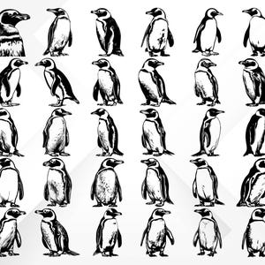 May include: A collection of 30 black and white line drawings of penguins in various poses. The penguins are facing forward, sideways, and backward. Some penguins are standing upright, while others are waddling or swimming.