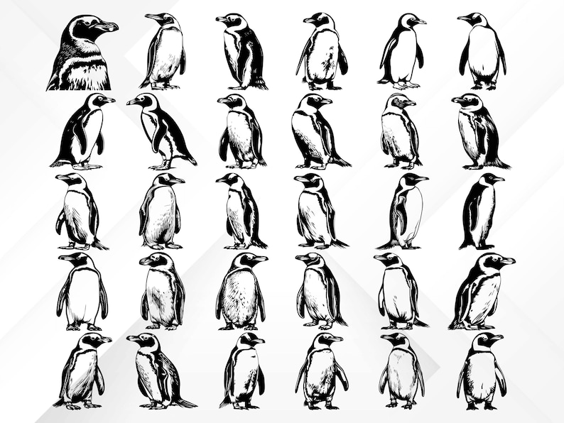 May include: A collection of 30 black and white line drawings of penguins in various poses. The penguins are facing forward, sideways, and backward. Some penguins are standing upright, while others are waddling or swimming.