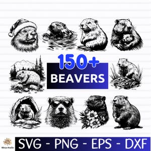 May include: A collection of black and white illustrations of beavers in various poses. Some beavers are wearing a Santa hat, sunglasses, or holding flowers. The image includes the text "150+ BEAVERS" and file type options: SVG, PNG, EPS, and DXF.