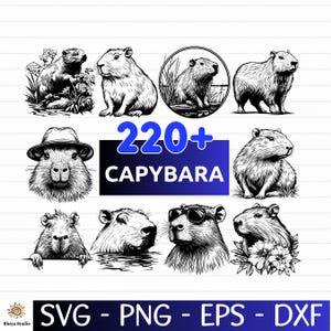 May include: A collection of black and white capybara illustrations in various poses. The image includes the text "220+ CAPYBARA" in a blue gradient box, along with file type indicators: SVG, PNG, EPS, and DXF.