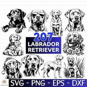 207 Labrador Retriever SVG Bundle | Hunting Dog Silhouettes & Clipart | Pet Lover Cut Files for Cricut and Sublimation | svg, dxf, eps, png