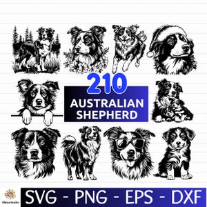 Pode incluir: Uma coleção de ilustrações em preto e branco de pastores australianos em várias poses. A imagem inclui o texto "210 Australian Shepherd" e opções de arquivo: SVG, PNG, EPS e DXF.