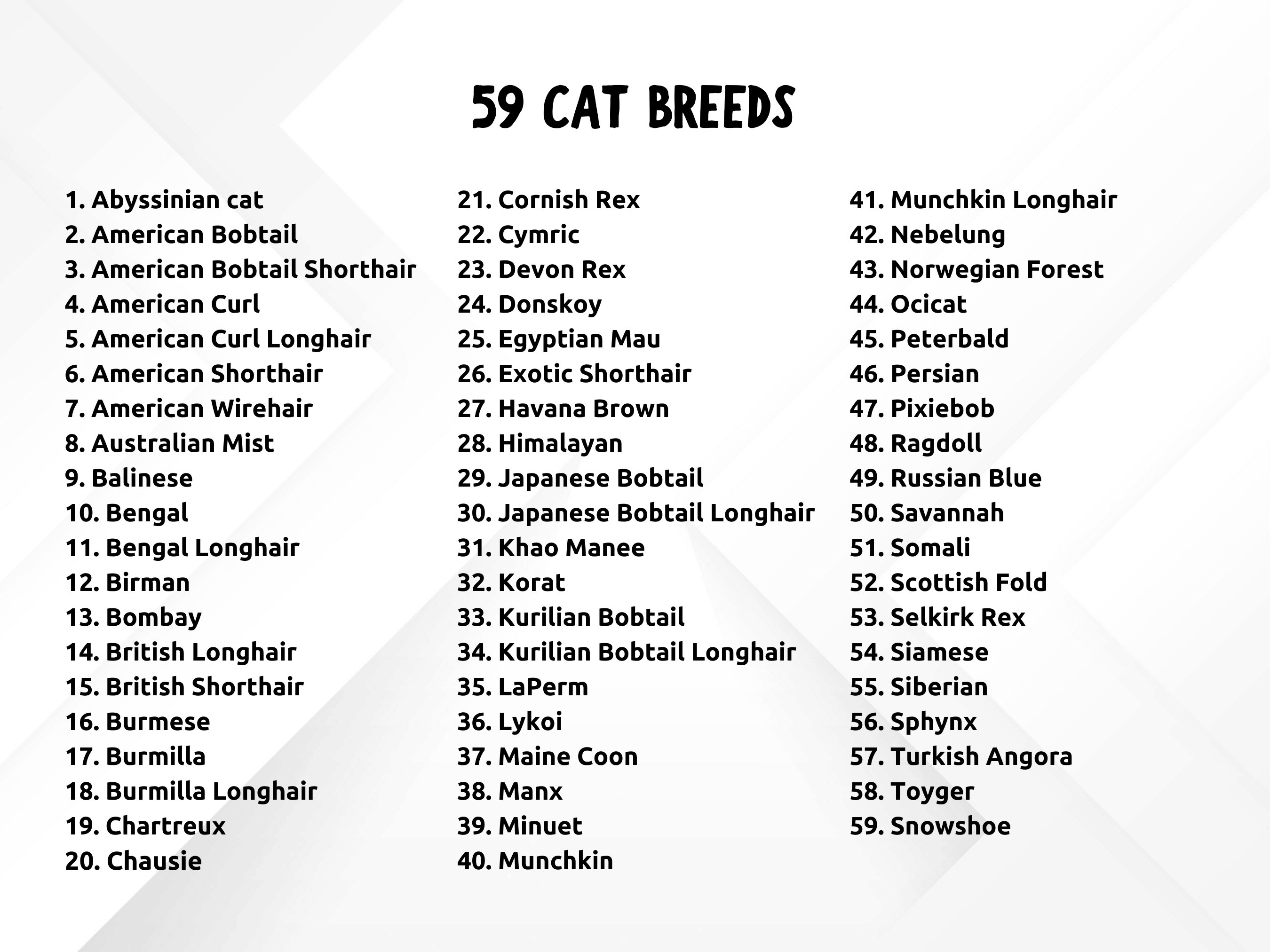 1000+ Cat Portraits SVG Bundle, Cats Full Body SVG Bundle, Cat Breeds ...
