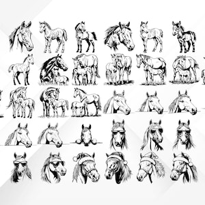 May include: A collection of 36 black and white horse illustrations. The horses are in various poses, including standing, running, and jumping. Some of the horses are wearing hats, sunglasses, and other accessories.