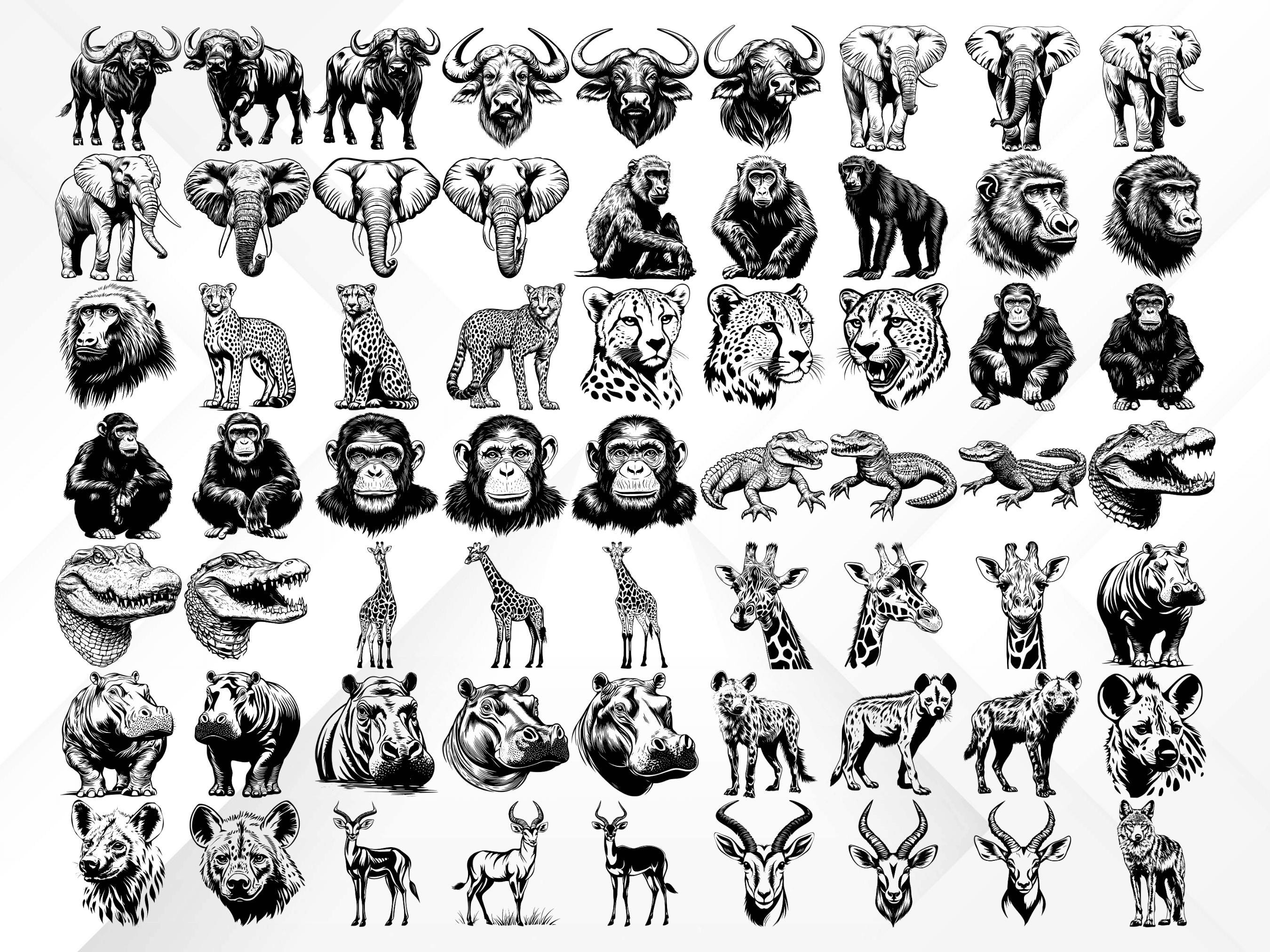 120+ Safari Animals SVG Bundle | Wild Animal Clipart | Jungle Animal ...