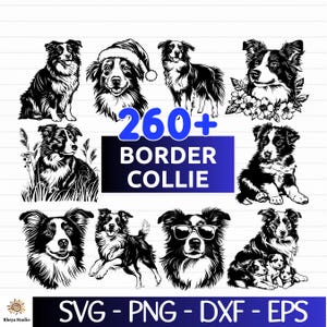 May include: A selection of black and white Border Collie dog illustrations in different poses. The image features the text "260+ Border Collie" and file type options: SVG, PNG, DXF, and EPS.