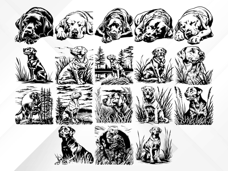 207 Labrador Retriever SVG Bundle | Hunting Dog Silhouettes & Clipart ...