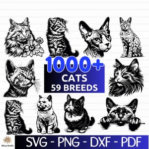 May include: A collection of 1000+ black and white cat illustrations featuring 59 different breeds. The illustrations are in a variety of poses, including sitting, standing, and lying down. The text "1000+ CATS 59 BREEDS" is displayed in blue and white text on a blue background.