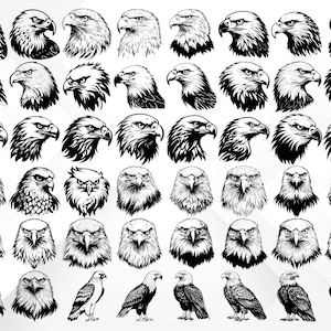 May include: A collection of 40 black and white illustrations of bald eagles in various poses, including headshots, full body, and wings spread. The illustrations are in a vintage style and would be perfect for use in a variety of projects.