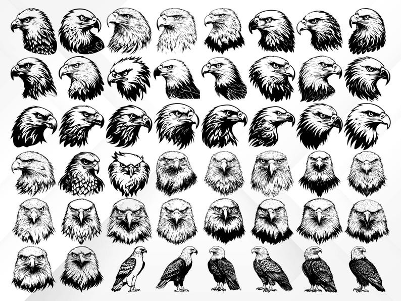 May include: A collection of 40 black and white illustrations of bald eagles in various poses, including headshots, full body, and wings spread. The illustrations are in a vintage style and would be perfect for use in a variety of projects.
