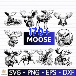 May include: A collection of black and white moose illustrations in various poses, including one wearing sunglasses and another with a Santa hat. The image includes the text "170+ MOOSE" and file type options: SVG, PNG, EPS, and DXF.