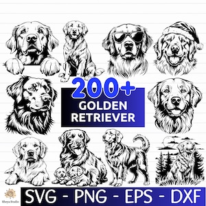Puede incluir: Una colección de más de 200 ilustraciones en blanco y negro de Golden Retrievers en varias poses. El texto "200+ GOLDEN RETRIEVER" se muestra en un cuadro azul. El texto "SVG - PNG - EPS - DXF" se muestra en la parte inferior de la imagen.