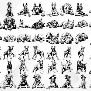 Puede incluir: Una colecci&oacute;n de ilustraciones en blanco y negro de perros Gran Dan&eacute;s en varias poses. Los perros se representan en una variedad de posiciones, incluyendo sentados, de pie, acostados y corriendo. Algunos de los perros llevan sombreros u otros accesorios.