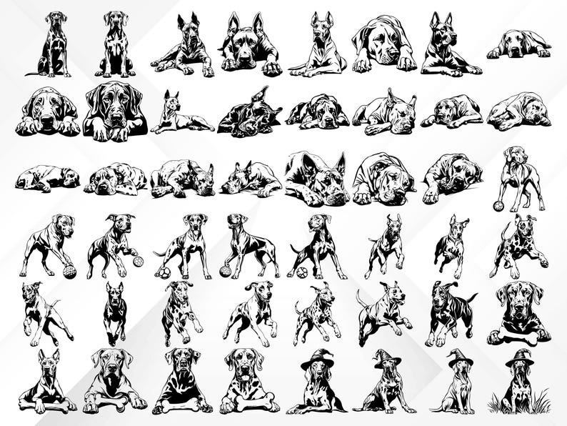 Puede incluir: Una colecci&oacute;n de ilustraciones en blanco y negro de perros Gran Dan&eacute;s en varias poses. Los perros se representan en una variedad de posiciones, incluyendo sentados, de pie, acostados y corriendo. Algunos de los perros llevan sombreros u otros accesorios.