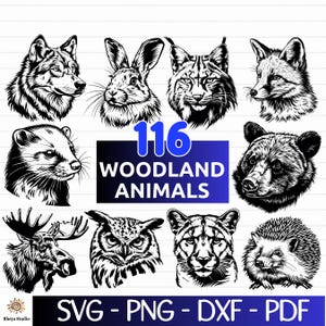 May include: A set of 116 black and white woodland animal illustrations. The illustrations include a wolf, rabbit, lynx, fox, weasel, bear, moose, owl, cougar, and hedgehog. The text "116 Woodland Animals" is displayed in blue letters.